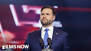 'The jury is still out': MAGA considers if JD Vance could be party's next leader after Trump