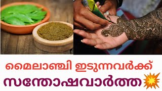 മൈലാഞ്ചിയുടെ ഗുണങ്ങൾ അറിഞ്ഞാൽ നിങ്ങൾ ഒരിക്കലും മൈലാഞ്ചി ഉപയോഗിക്കാതിരിക്കില്ല