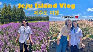 [AMWF/국제커플] 🇰🇷🇩🇰 JEJU VLOG PT. 2 💗 제주도 여행 브이로그 | 커플/국커 | Foreigners in Korea | 외국인 | 덴마크 친구🇩🇰