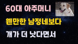 60대지만 그래도 개가 더 낫다면서 (라디오드라마)