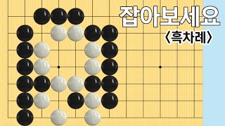 초급사활 (8문제) #7