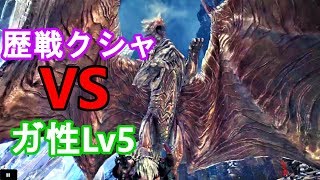 【MHW 検証】ガード性能Lv5 VS 歴戦クシャルダオラ 【モンハンワールド】