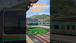 平塚駅4番線発車メロディ『たなばたさまD』放置で無限耐久！ #jr東日本 #鉄道 #電車 #発車メロディ #駅メロ #東海道線 #平塚駅 #たなばたさま