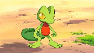 Ash catches a Treecko