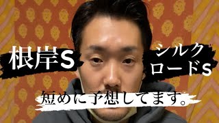 ［予想］根岸SとシルクロードSサクッと解説