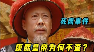 死鹰事件 康熙皇帝为何不查？帝王心术的集中爆发！《九子夺嫡》