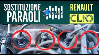 Sostituzione Paraoli Renault Clio