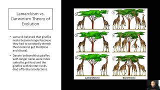 Ideas That Shaped Darwin's Theory of Evolution 101