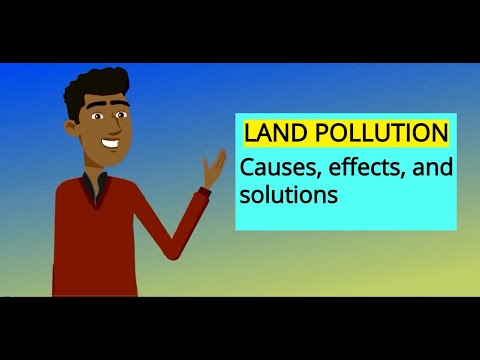 What diseases are caused by land pollution?