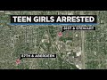 Two teen girls charged with armed robberies, carjacking