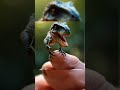 mini dinosaur on finger dinosaurs animals animation viralvideo ai shorts