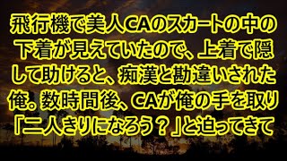 飛行機で美人CAのスカートの中の下着が見えていたので、上着で隠して助けると、痴漢と勘違いされた俺。数時間後、CAが俺の手を取り「二人きりになろう？」と迫ってきて【いい話・朗読・泣ける話】