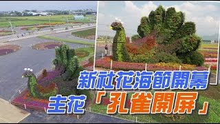 新社花海「孔雀開屏」 料吸250萬人 | 台灣蘋果日報