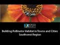 Building Pollinator Habitat in Towns and Cities: Southwest Region