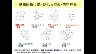 獣医事法規対面7回2022 edit