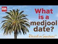 What is a Medjool Date? - Welcome to Natural Delights