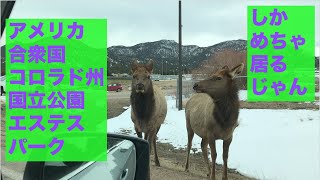 【これぞコロラド】ロッキーマウンテン国立公園を散策！エステスパーク