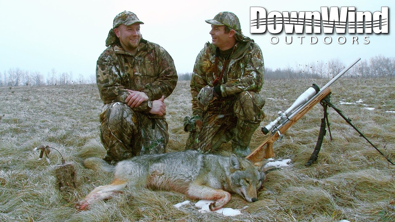 Coyote Hunting: Second Chance (DownWind Outdoors) - YouTube