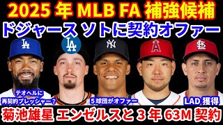 2025年MLB FA補強候補‼️ ドジャースがソトに契約オファー その他４チームがオファー済💰 テオヘル再契約へプレッシャー⁉️ 菊池雄星がエンゼルスと好条件3年契約👍 ガイエゴスとマイナー契約