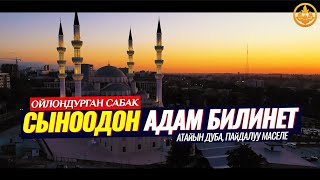 СЫНООДОН АДАМ БИЛИНЕТ. (атайын дуба, пайдалуу сабак)  Шейх Чубак ажы