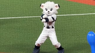 【平日の消化試合に2万4740人】今年もあと2回の『吠えろライオンズ』【西武vs日本ハム】2024/9/30