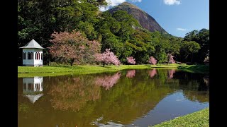 Conheça Nova Friburgo - RJ