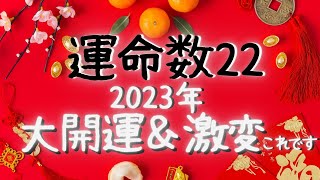 2023年運命数22が大開運↗する方法✨乗り遅れたくない人見て🔮数秘占いで激変