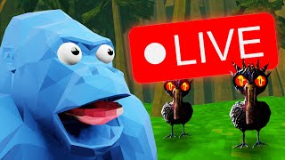 IM LIVE IN ANIMAL COMPANY! (Playing With You!)