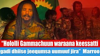 “Hololli Gammachuun waraana keessatti gadi dhiise jeequmsa uumuuf jira”  Marroo