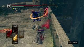 ダークソウルリマスター 無強靭侵入 Dark Souls Remastered ダークソウルリマスター 無強靭侵入 Dark Souls Remastered