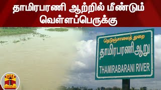 தாமிரபரணி ஆற்றில் மீண்டும் வெள்ளப்பெருக்கு | Thamirabarani River | Nellai