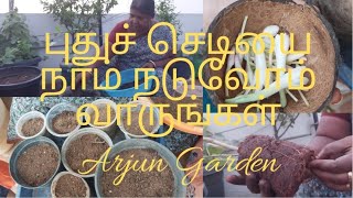 புதுச் செடியை நாம் நடுவோம் வாருங்கள் !! 🌱🌴🌿 || எங்க வீட்டு புது செடி 😍😍🌸🌼😍 || Arjun Garden || Tamil