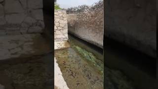 The Secrets of Oman's Water Engineering Marvel Falaj ✨ The Lifeline of Oman's Desert Agriculture🍁