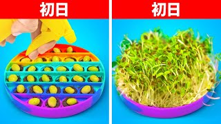 お家で植物を育てる賢いライフハック