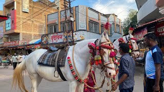 Kolhapur Mahalaksmi temple tour  1￼