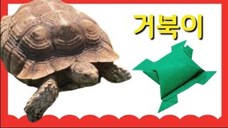 [고급] 🐢 색종이로 거북이 종이 접기 | 거북이 접기 | 종이 거북이 | 색종이 | 종이접기 | origami turtle | 🧙마법의색종이