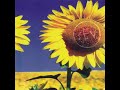 sev sunflower 1996 full album