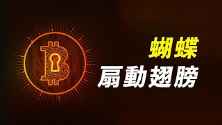 比特幣，30000站得穩嗎？BTC、ETH，要麼回調，要麼突破，在明天！