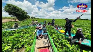 តើវាសនាអ្នកឈូសឆាយដីព្រៃលិចទឹកនៅតំបន់ ៣ ក្នុងស្រុកកំពង់លែង រួចពីសំណាញ់ច្បាប់បានទេ