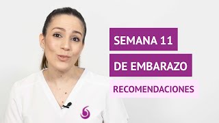 ¿Qué recomendaciones se deben seguir en la semana 11 de gestación?