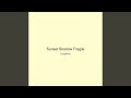 Sunset Shadow Fragile