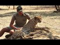 Playing With Cheetahs