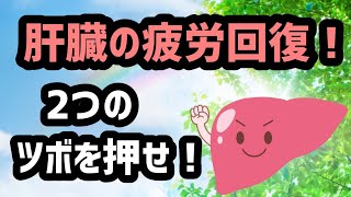 【ツボも有効だ！】肝臓の疲労回復の2つのツボ20211122