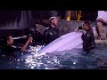 Icewater Shark ATTACK Challenge!! ❄️🦈