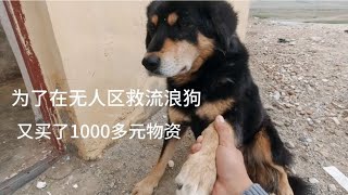 为了在无人区继续救助流浪狗，去买了1000多元物资【环华穷游】