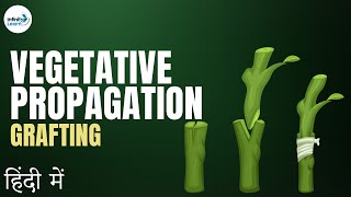 Reproduction - Lesson 14 | Vegetative Propagation (Grafting continued) - in Hindi (हिंदी में )