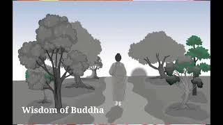 Wisdom Of Gautam Buddha |Life lesson|buddha thoughts| reduce chances of mistake