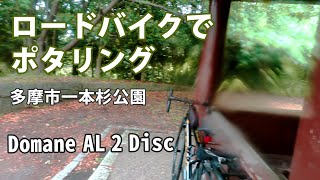 ロードバイクでポタリング　雨の中多摩市の一本杉公園