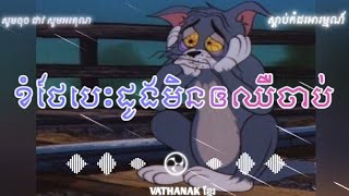 ខំថែបេះដូងមិនឲឈឺចាប់🥀 Remix