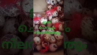 ആയിരം കോഴിക്ക് അര കാട #malayalam #food #shorts #shortsfeed #antiaging